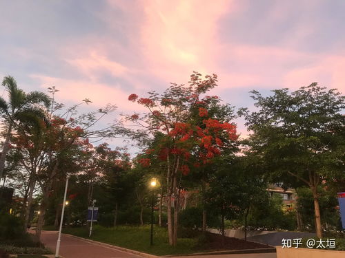 探索三亚中瑞酒店管理职业学院的酒店管理教育之道